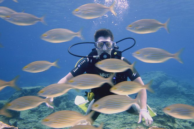 Local Guided Dives (for certified/licensed divers) - Why this Protaras outing works well for certified divers