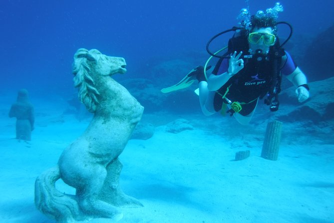 Local Guided Dives (for certified/licensed divers) - What one or two sessions actually includes
