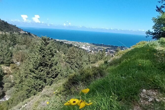 Nature Walking tour in the Mediterranean Cyprus-6days - Six days, two sides of Kyrenia