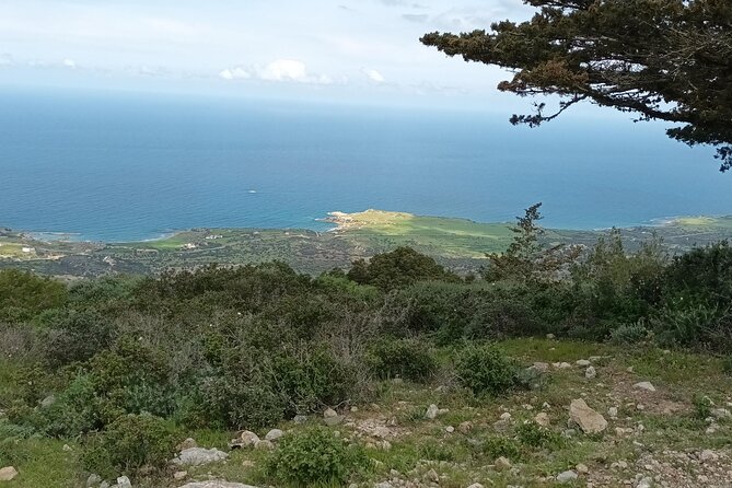 Nature Walking tour in the Mediterranean Cyprus-6days - What the private format adds