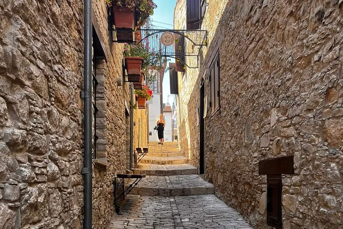 Omodos and Winiary tour, let's feel winter in Cyprus Mountain. - Who should book this Omodos trip?