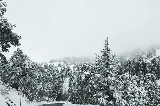 Omodos and Winiary tour, let's feel winter in Cyprus Mountain. - One hour for meze, sweets, and shopping