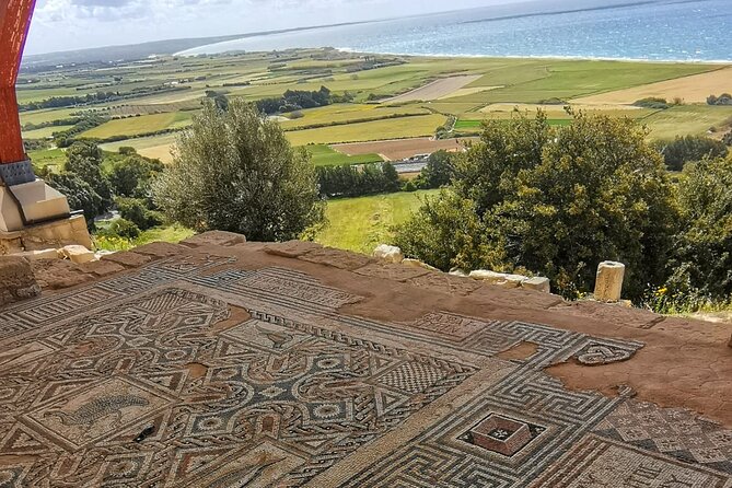 Pafos - Archaeology & Beauty tour from Limassol - Ninety minutes at Pafos Harbour
