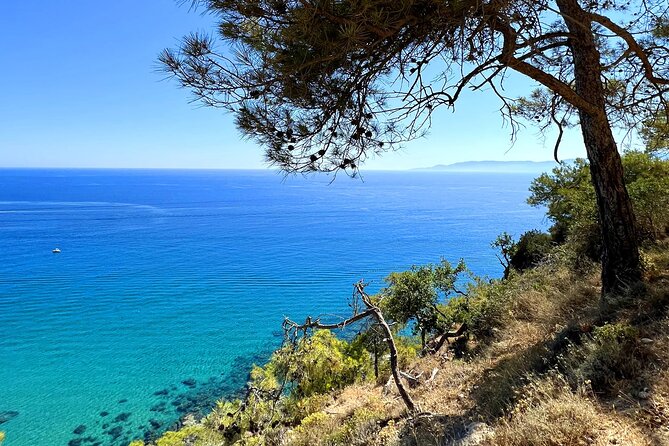 Paphos: Akamas Gorge & Turtle Bay & Donkey Farm Jeep Safari Tour - The Baths of Aphrodite bring myth into the route