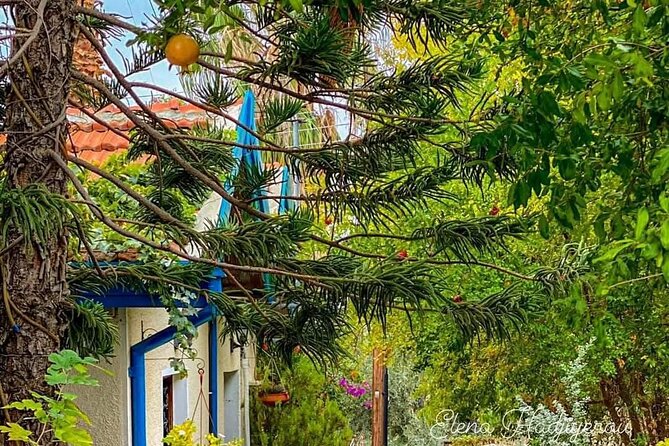 Perfect Day Trip to Beautiful Lefkara tour from Limassol. - Is $72 good value?