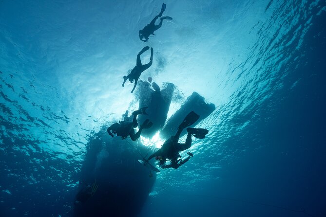Private Discovery Scuba Diving with Sea Turtles - Who should book this Green Bay session?