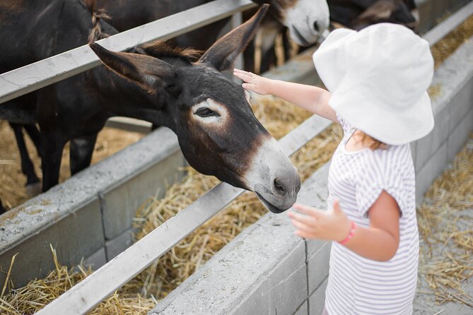 Private Full-Day Tour in Larnaca with Hotel Pick Up - Golden Donkeys Farm and Cyprus country life