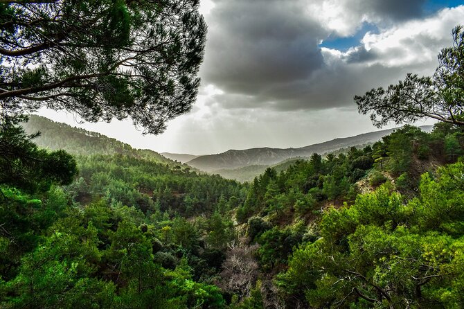 Private Full-Day Tour to Cyprus Monasteries - Why this private Troodos tour works well