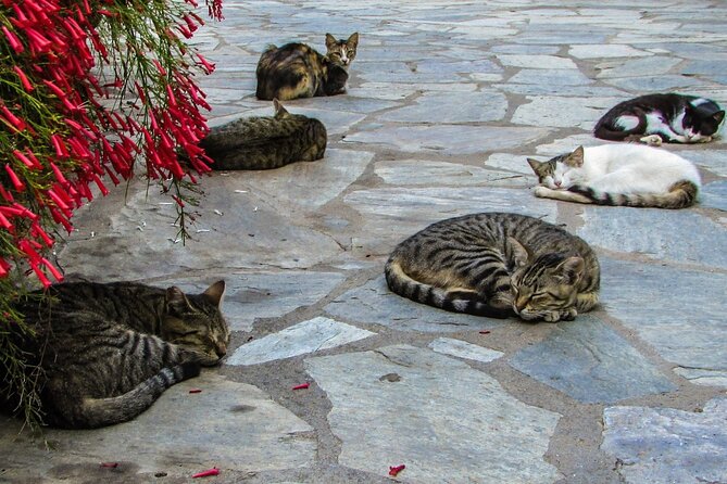 Private Full-Day Tour to Cyprus Monasteries - Who will enjoy this day most