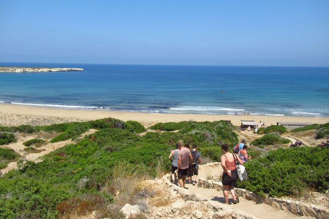 Quad or Buggy Tour from Coral Bay to Akamas Forest - St George’s Harbour and early Byzantine Cyprus