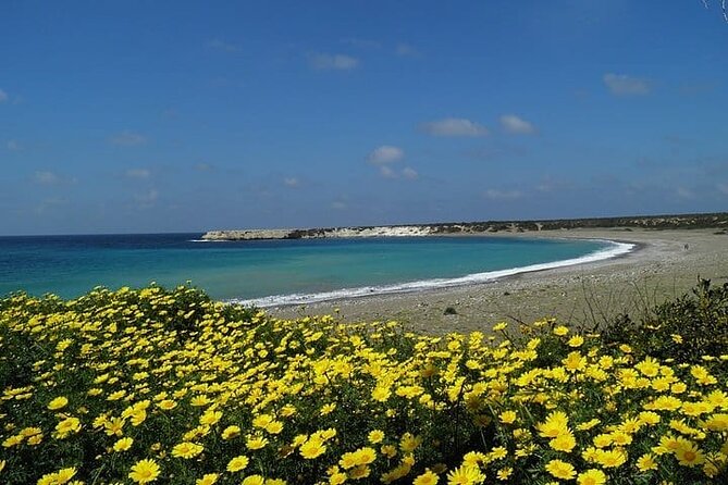 Quad or Buggy Tour from Coral Bay to Lara Bay - Agios Georgios Pegeias and the Early Christian remains
