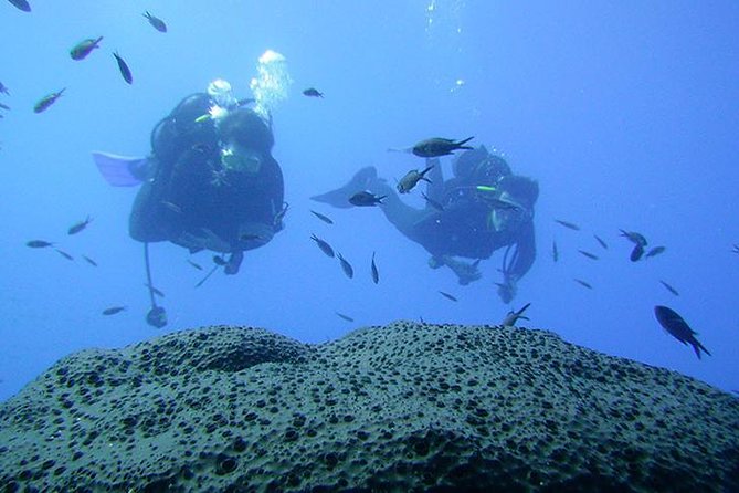 Scuba Diver Course - Day One: Confined-Water Skills Without the Pressure