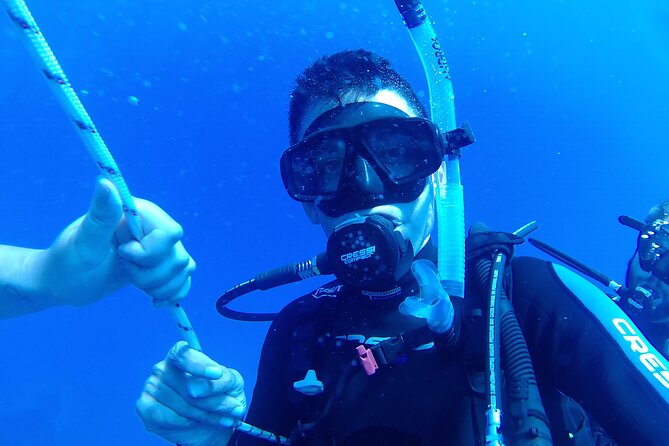 Scuba Diving Cyprus Experience Protaras and Ayia Napa & Turtles - Group size, private bookings, and what private means