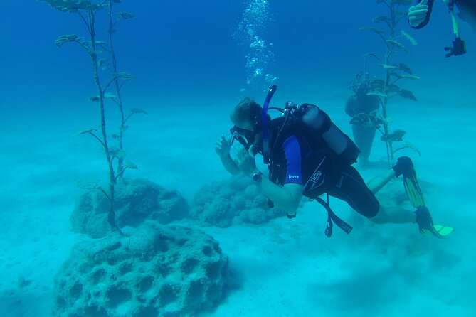 Scuba Diving Cyprus Experience Protaras and Ayia Napa & Turtles - Health, flights, and the small rules that matter