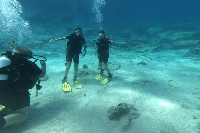 Scuba Diving Cyprus Experience Protaras and Ayia Napa & Turtles - Fish, turtles, and the underwater statues