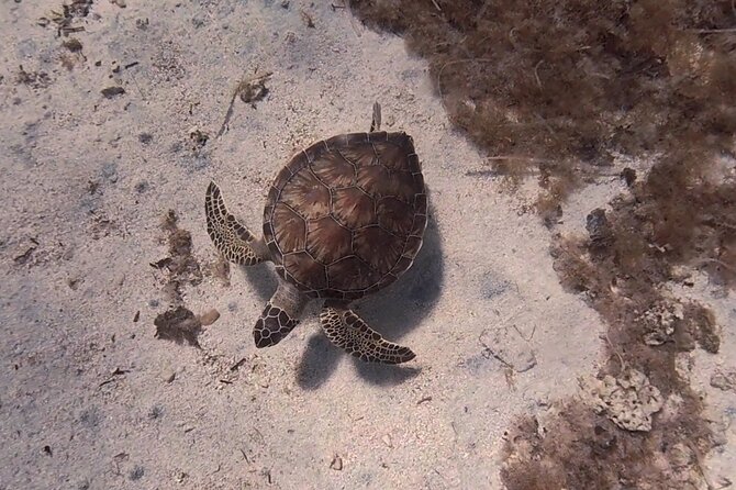 Scuba Diving Experience (10+ Years) AND Free Edited Video - Starting at Nautilus Scuba Diving Centre in Protaras