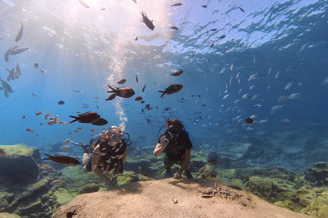 Scuba Diving Experience (10+ Years) AND Free Edited Video - Group size, personal attention, and guide style