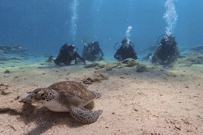 Scuba Diving Experience (10+ Years) AND Free Edited Video - First breaths in shallow water