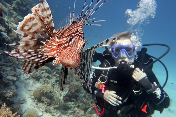 Scuba Diving Experience & MUSAN Dive + Free Edited Video 2xdives - The free edited video, and what it is really worth