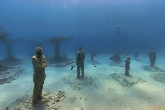 Scuba Diving Experience & MUSAN Dive + Free Edited Video 2xdives - What the strong feedback tells me