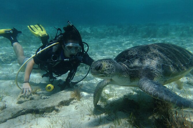 SCUBA DIVING first time experience - Key things to know before you book