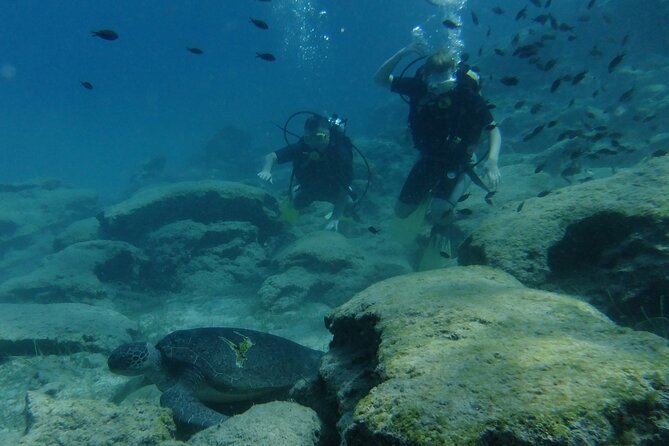 SCUBA DIVING first time experience - Shallow water practice before the main session