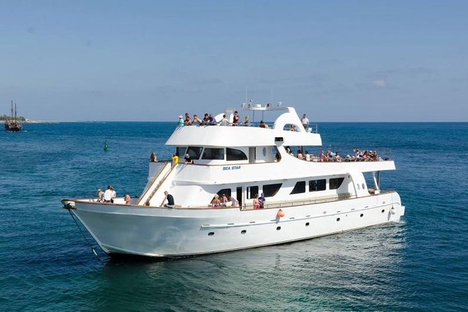 Sea Star Coral Express Cruise from Paphos - Key points to know before sailing