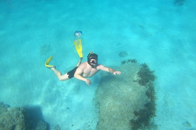 snorkeling ,Turtle Watching in Cyprus - Meeting at the Tombs of the Kings at 9:00