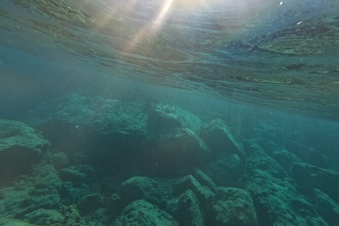 snorkeling ,Turtle Watching in Cyprus - Looking for turtles in their natural habitat