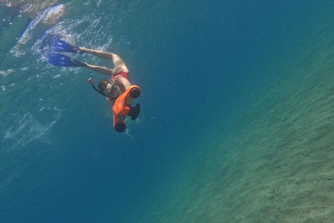 snorkeling ,Turtle Watching in Cyprus - How much time you spend in the water