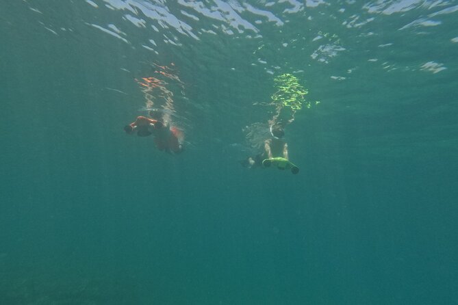 snorkeling ,Turtle Watching in Cyprus - The people make a big difference