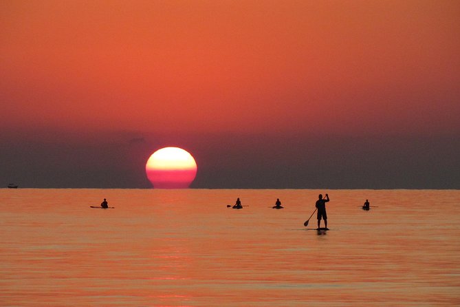 Stand Up Paddle Lesson - What the first 30 minutes teach you