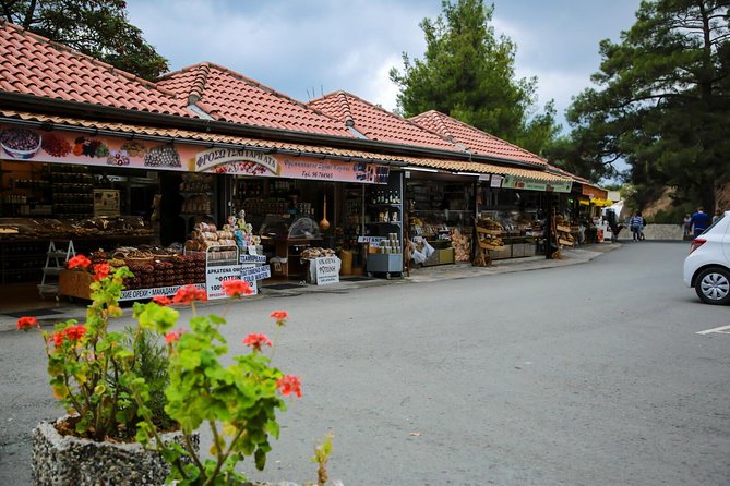 Tour to Troodos, Kykkos Monastery, Omodos and Winery from Paphos - Leaving Paphos for the Troodos Mountains