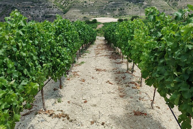 Troodos Mountains Grape Escape: All Inclusive Food & Wine Tour - Pano Lefkara brings craft and village character