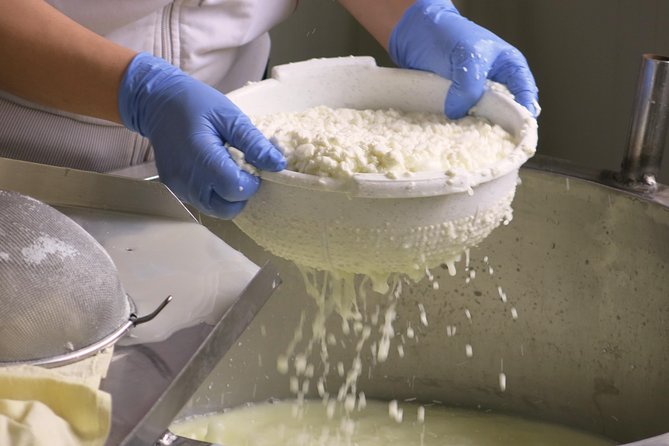Troodos Mountains Halloumi Making: All Inclusive Workshop & Tour - A Hands-On Start in the Troodos Countryside
