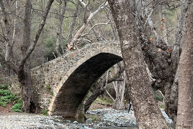 Troodos Mountains Jeep Tour with Wine Tasting - Key things to know before booking