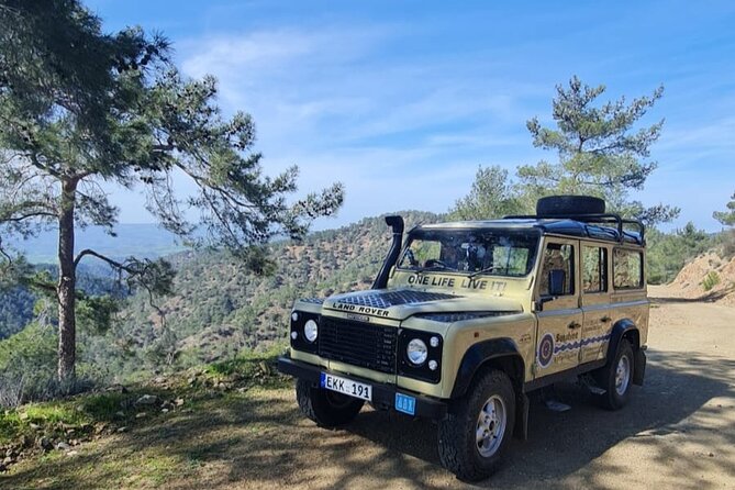 Troodos Mountains Jeep Tour with Wine Tasting - The ancient olive tree and the route back to the sea