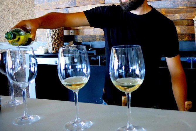 Troodos Mountains Vino Venture: All Inclusive Full Day Wine Tour - Linos Winery adds a memorable twist