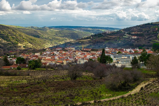 Troodos Mountains Vino Venture: All Inclusive Full Day Wine Tour - The Struggle Museum puts Cyprus in context