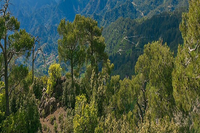 Troodos Peaks & Mountain Flavors Day Tour from Paphos - Is $66.54 good value?
