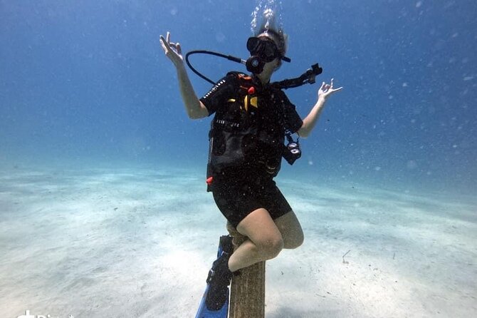 Try a Scuba Diving Experience - Green Bay, marine life, and the first underwater outing