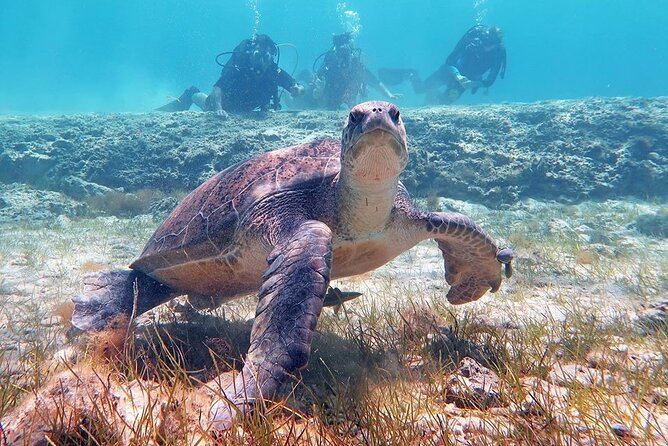 Try a Scuba Diving Experience - Why the instructors make such a difference