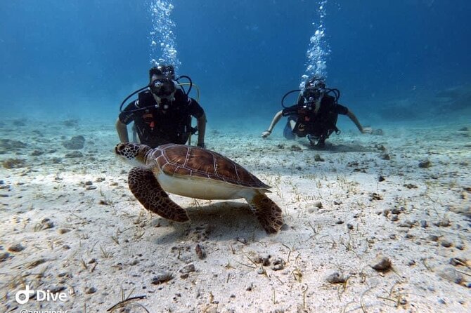 Try a Scuba Diving Experience - Pickup, meeting point, and timing
