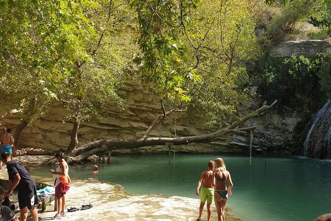 Value for money Quad & Buggy Tour to Lara Bay and Adonis Falls - Quad bikes, four-person buggies, and driving rules