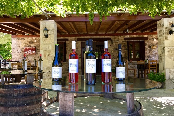 Wine Tasting and Winery Tour in Lemona Village, Paphos - Understanding the Cypriot wine selection