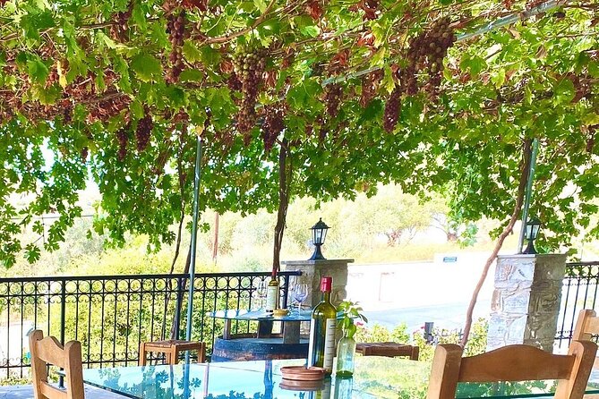 Wine Tasting and Winery Tour in Lemona Village, Paphos - What the $27.66 price means