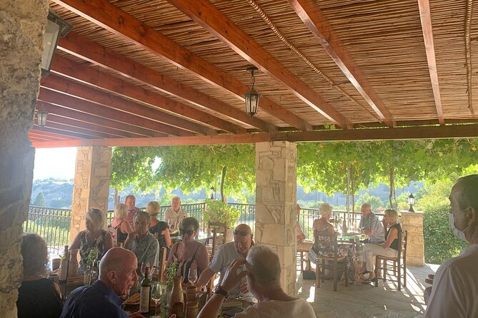 Wine Tasting and Winery Tour in Lemona Village, Paphos - Who will enjoy this one-hour visit?