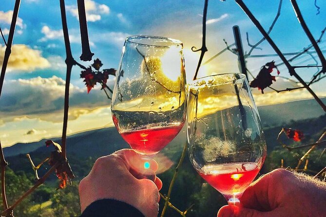 Wine Tasting and Winery Tour in Lemona Village, Paphos - The winery tour and the path from grape to bottle